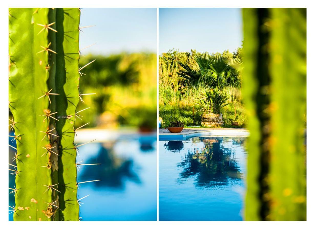 Villa Swan Lefkada City Bagian luar foto